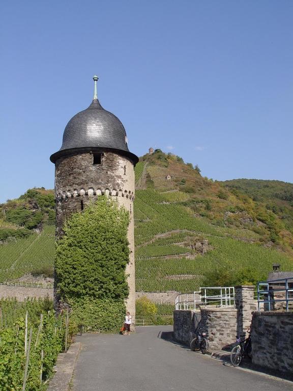 Pension Adelheid Moselhype&Wine Zell an der Mosel Luaran gambar