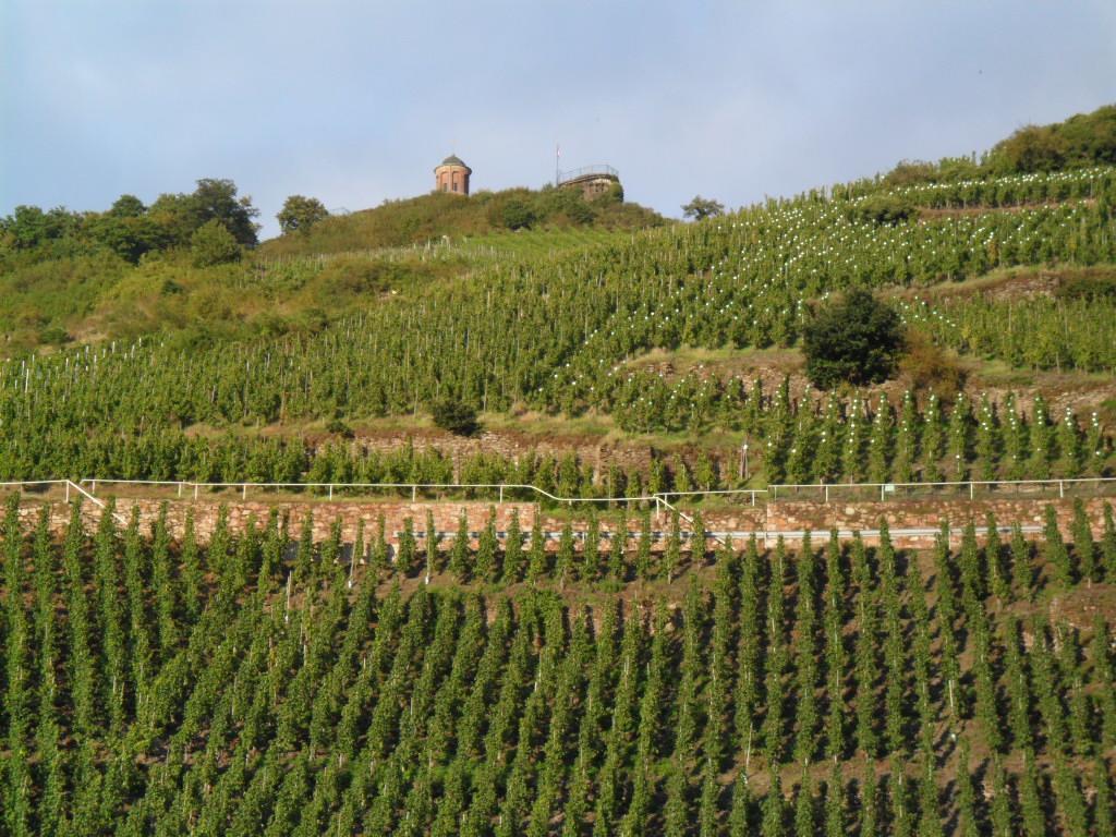 Pension Adelheid Moselhype&Wine Zell an der Mosel Luaran gambar