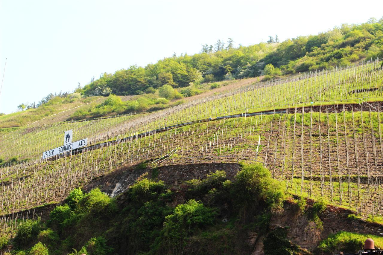 Pension Adelheid Moselhype&Wine Zell an der Mosel Luaran gambar